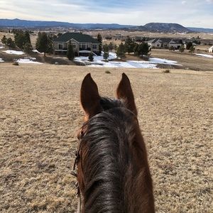 Meet your Posher, Eugenia